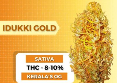 Idukki Gold Weed Strain