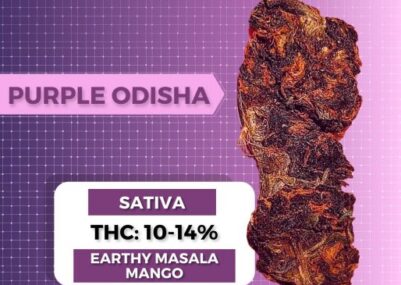 Odisha Weed Strain