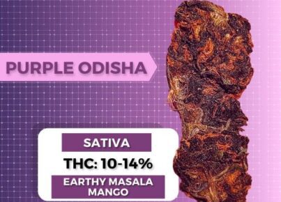 Odisha Weed Strain