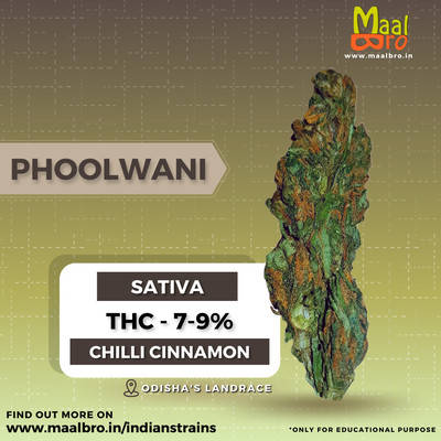 Phoolwani odisha sativa weed