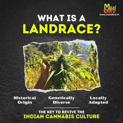 what is a landrace india